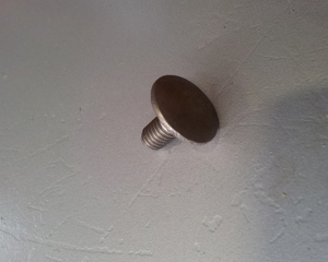 Round-head screw sst m6x11 DIN 603